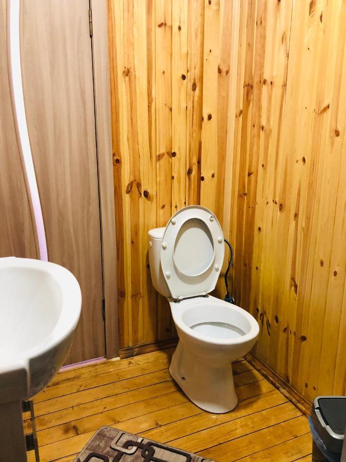 У Віти Номер2 Lägenhet Synevyrsʼka Polyana Exteriör bild